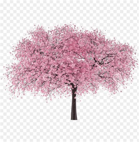 Japanese Pink Tree Background - apple-patch