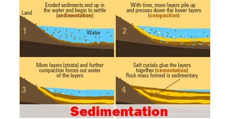 sedimentation