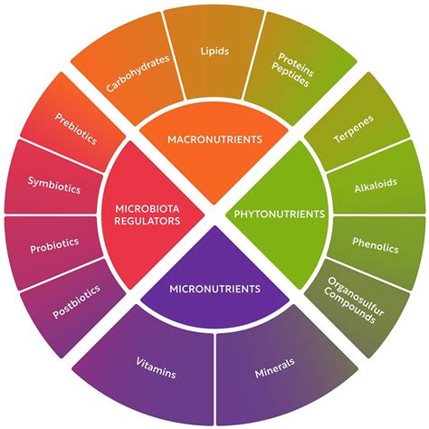 Frontiers | Bioactive compounds for human and planetary health