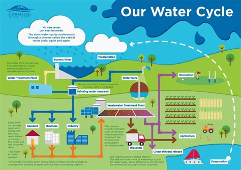 Water cycle focus during National Water Week – Bundaberg Now