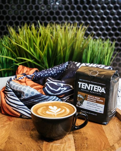 Meet Michael Riady of Tentera Coffee Roasters – Buzz Magazine