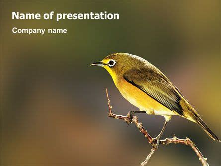 Bird PowerPoint Template | Powerpoint templates, Presentation design, Powerpoint