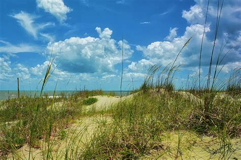 Bright Sunny Day at at the Beach Photograph by TJ Baccari