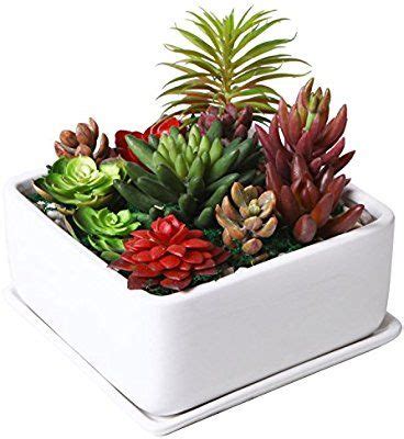 This Modern 7 inch Square Ceramic Succulent Planter Pot is a perfect ...