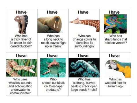 I have | Animal adaptations, Adaptations, Animals