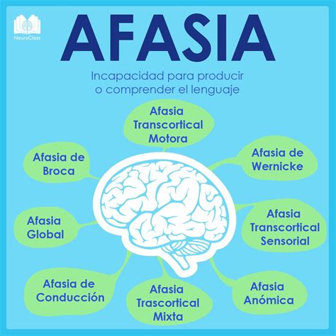 Pin en Infografías psicología, educación y neurociencias