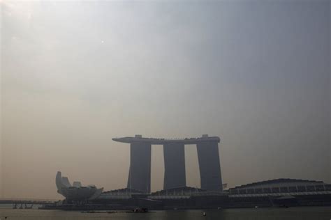 Name and shame companies behind haze: Singapore | News | Eco-Business | Asia Pacific