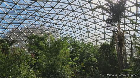 Missouri Botanical Garden offering free admission to Climatron | ksdk.com