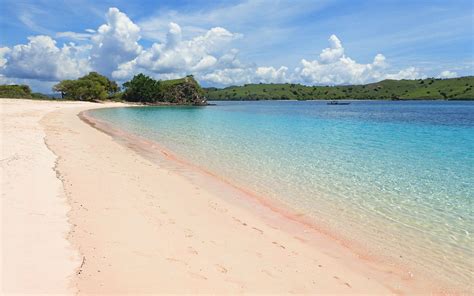 Pink Beach / Komodo Island / Indonesia // World Beach Guide