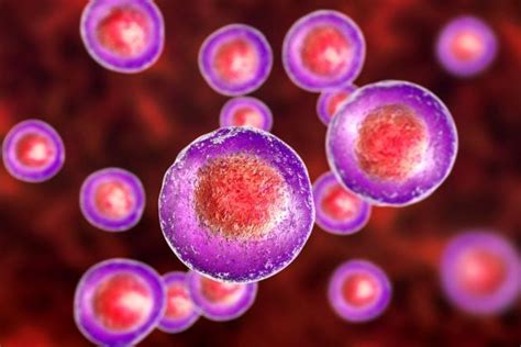 What is Cell Disruption and what are the methods?