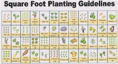 Eat Live Grow Paleo: Square Foot Gardening - Planning | Square foot gardening layout, Square ...