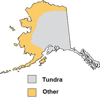 Alaskan tundra - microbewiki