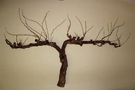 20 Best Grape Vine Metal Wall Art