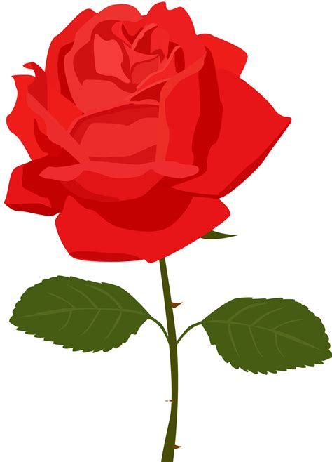 Rose clipart cartoon, Rose cartoon Transparent FREE for download on ...