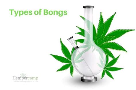 Types of Bongs | Hempercamp