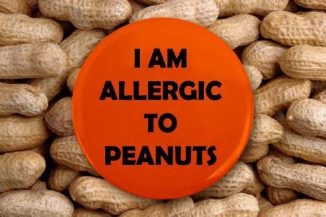 Peanut Allergy Awareness Advocacy For Parents