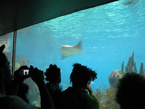 New York Aquarium, Coney Island, Brooklyn