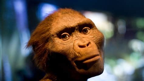 Five Things You May Not Have Known About Lucy The Australopithecus | IFLScience