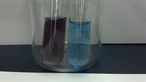 Positive(left) and negative Biuret's test | pdecell | Flickr