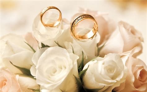 Wallpaper Engagement rings, roses, white flower buds, gold wedding band, white roses | Gold ...