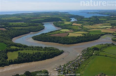 Stock photo of River Fal, Cornwall. May 2009.. Available for sale on ...