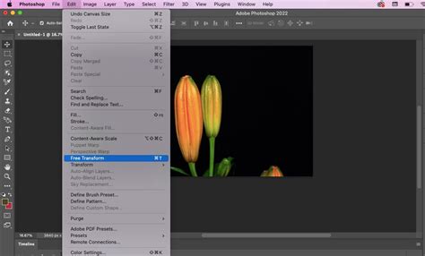 How to Make a Blooming Flower Time-Lapse: A Beginner's Guide