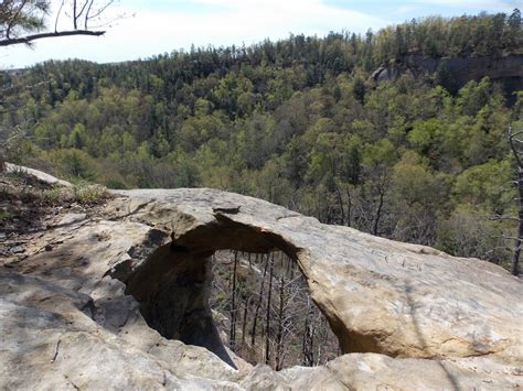 Red River Gorge, Kentucky - Floradise