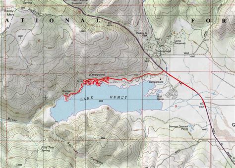 Flora of the Lake Hemet area of Garner Valley, San Jacinto Mountains