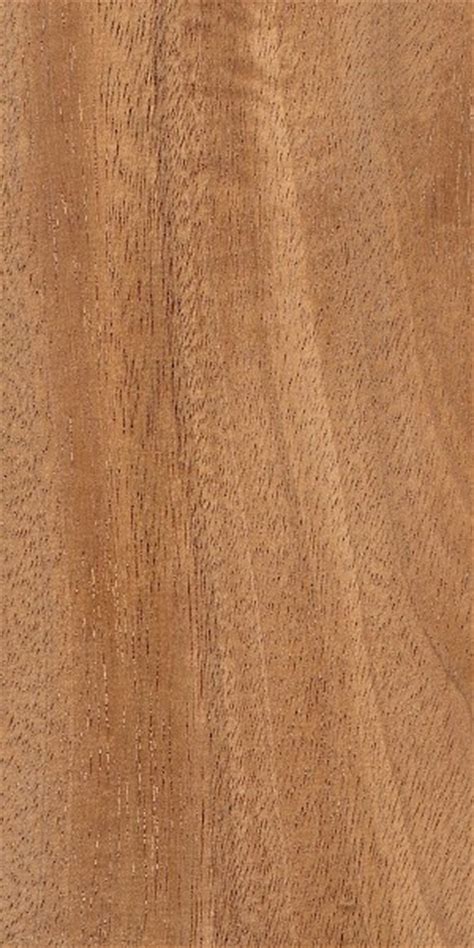 Amendoim | The Wood Database (Hardwood)