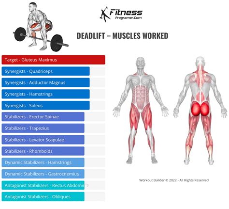 Benefits Of Deadlift - 8 Exercises To Improve Your Deadlift