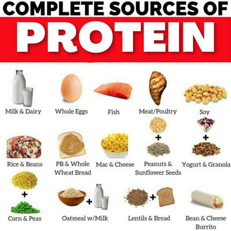 High Protein Foods List, Best Protein, Healthy Protein, High Protein Recipes, Protein Sources ...