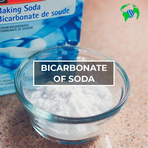 Uses of Bicarbonate of Soda around your Home | Sapphire Green Earth