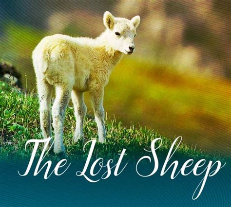 The Powerful Parables Of Jesus: The Parable Of The Lost Sheep | Osprey ...