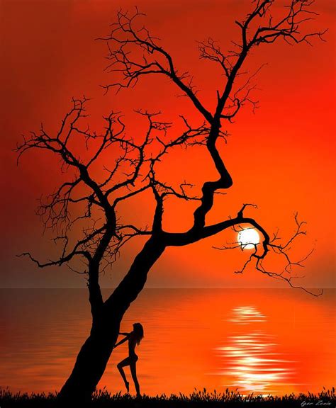 Stunning Sunset Silhouettes Artwork