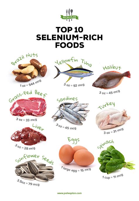 Foods High In Selenium | Hot Sex Picture