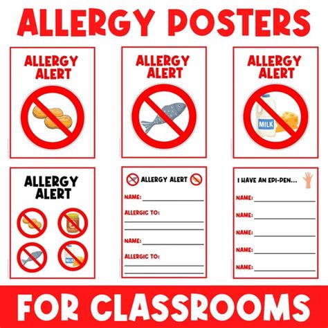 Allergy Alert Classroom Poster Signs Decor Visual - Etsy