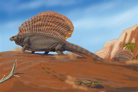 Life Before the Dinosaurs: Edaphosaurus.