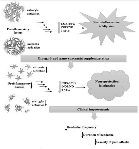 Neurogenic inflammation plays a pivotal role in migraine... | Download ...