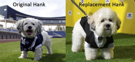 Brewers to Address Concern about Mascot