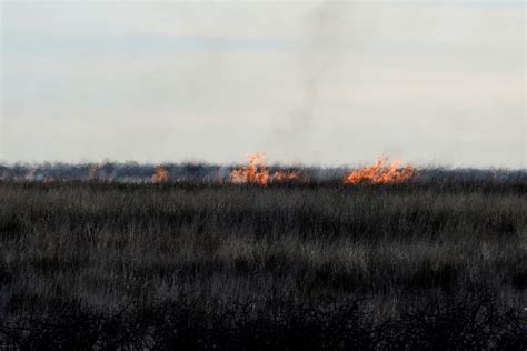 Second-largest wildfire in Texas history rages across Panhandle