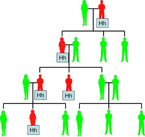 Red Green Color Blindness Inheritance Pattern - Infoupdate.org