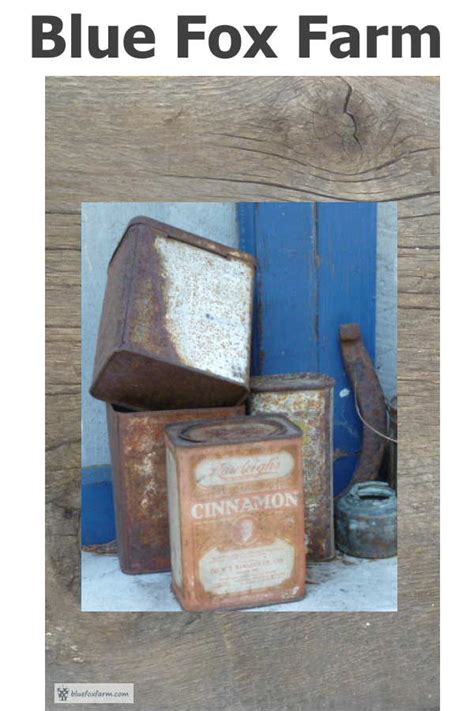 Blue Fox Farm - Twiggy, Rusty, Shabby and Primitive