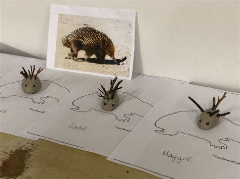 Made with clay and twigs Naidoc Week, Echidna, Twig, Place Cards, Place Card Holders, Clay ...