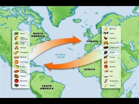 5th Grade History Columbian Exchange Map - YouTube