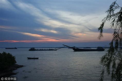 Migrant bird counts up at Dongting Lake - Chinadaily.com.cn