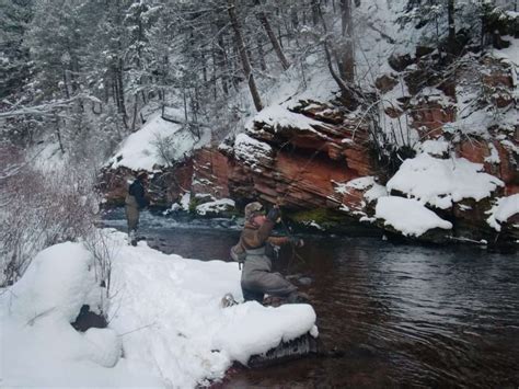 The Best of Winter Fly-fishing in Colorado