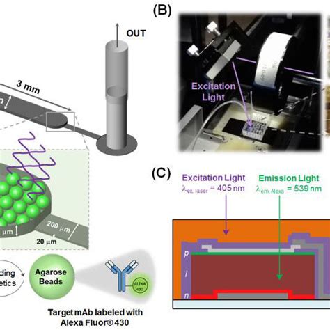 3: Work flow of the Qubit dsDNA HS assay kit. Picture taken from ...