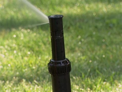 Sprinkler Head Types | DIY