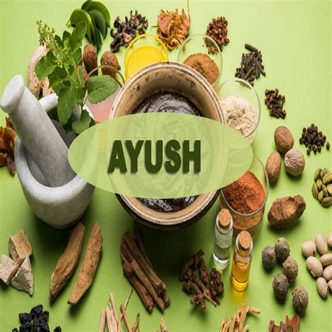 Common Misconceptions About Obtaining Ayush License Explained | by BIAT Consultant | Medium