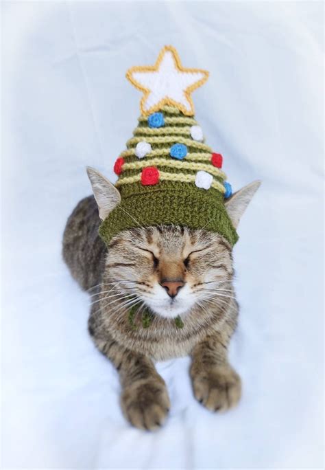 Christmas Tree Hat for Cat, Christmas Pet Costume, Kitten Accessories, Gift for Cat Lover ...